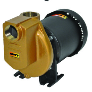 AMT 1-1/2" x 3/4 HP Electric Driven Chemical Pump | 3890-97