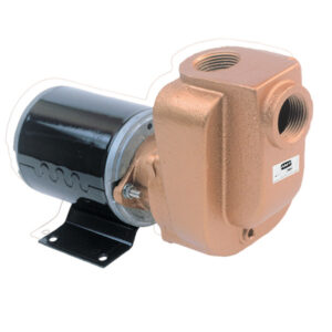 AMT 3/4" x 12VDC Marine Pump | 4851-97