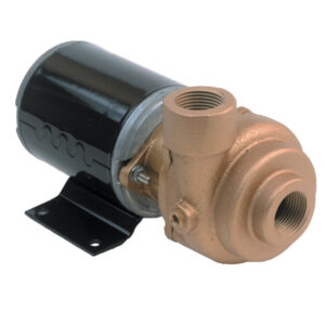AMT 3/4" x 12VDC Marine Pump | 4861-97