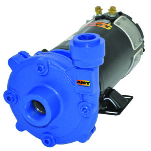 AMT 7/8 HP 12V DC Cast Iron High Head Washdown Pump | 12DC-95